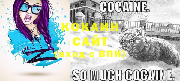 индика Алексеевка