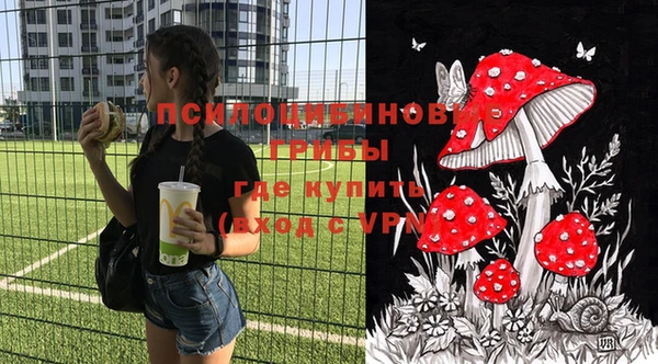 ПСИЛОЦИБИНОВЫЕ ГРИБЫ Алзамай