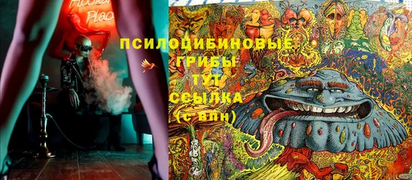 крисы Алексин