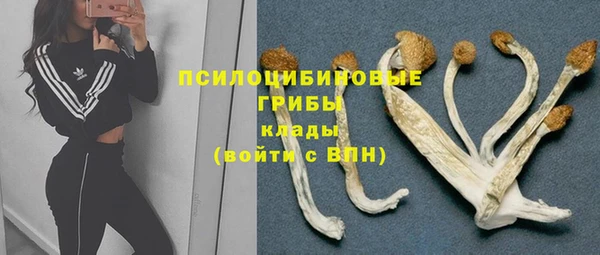 крисы Алексин