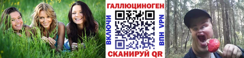 Псилоцибиновые грибы прущие грибы  где купить наркоту  Бологое 