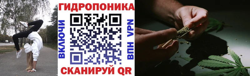 KRAKEN   Бологое  Шишки марихуана Amnesia 
